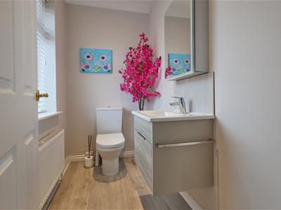 Picture 15